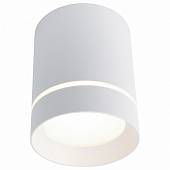 Накладной потолочный светильник Arte Lamp арт. A1909PL-1WH