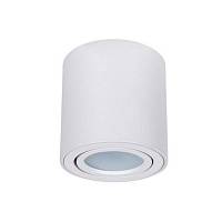 Потолочный светильник Arte Lamp Beid A1513PL-1WH